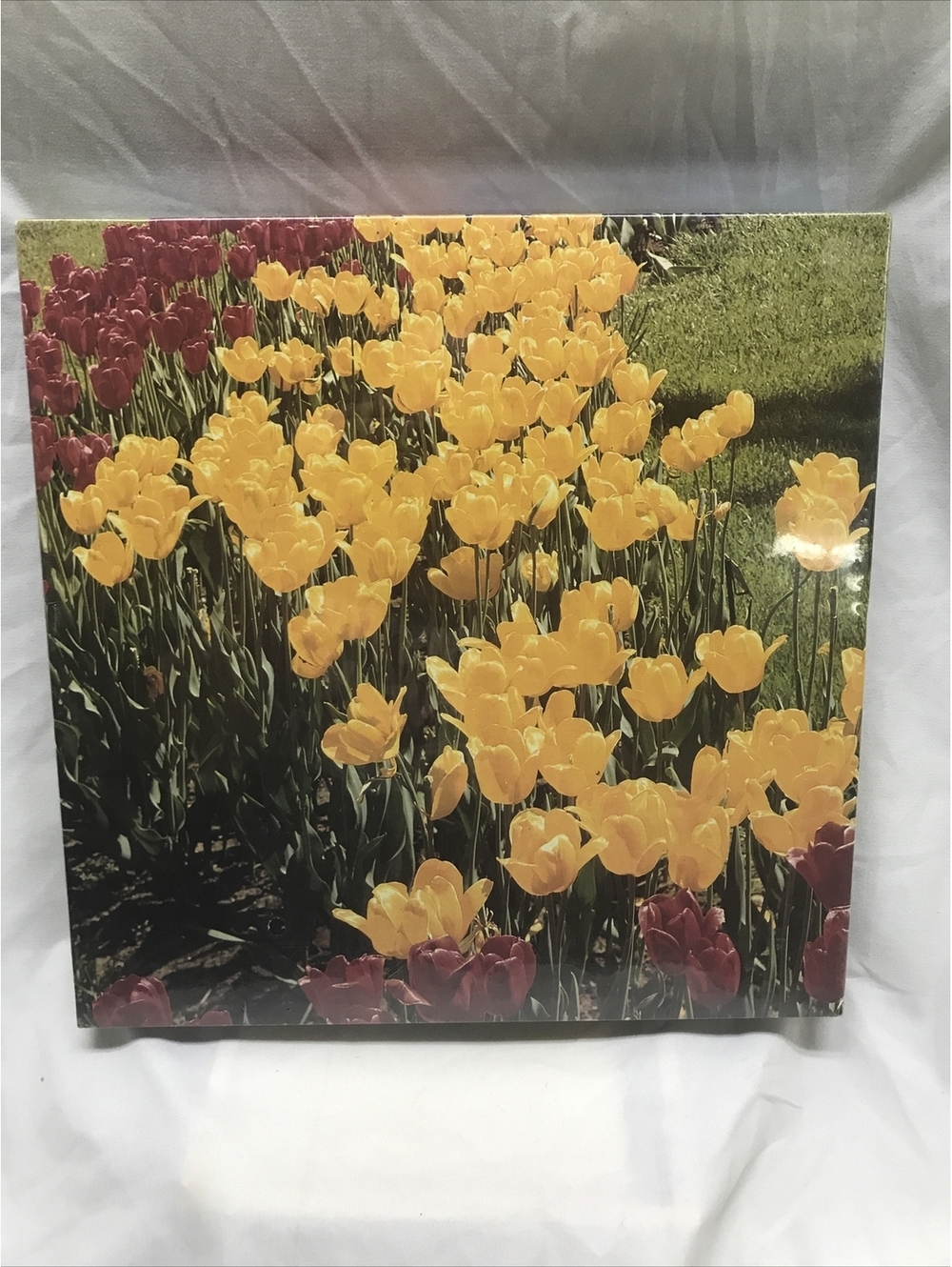 Dutch Treat Tulip Flowers Jigsaw Puzzle Vintage 1984 Hoyle 550 Pc 18” X 24” New